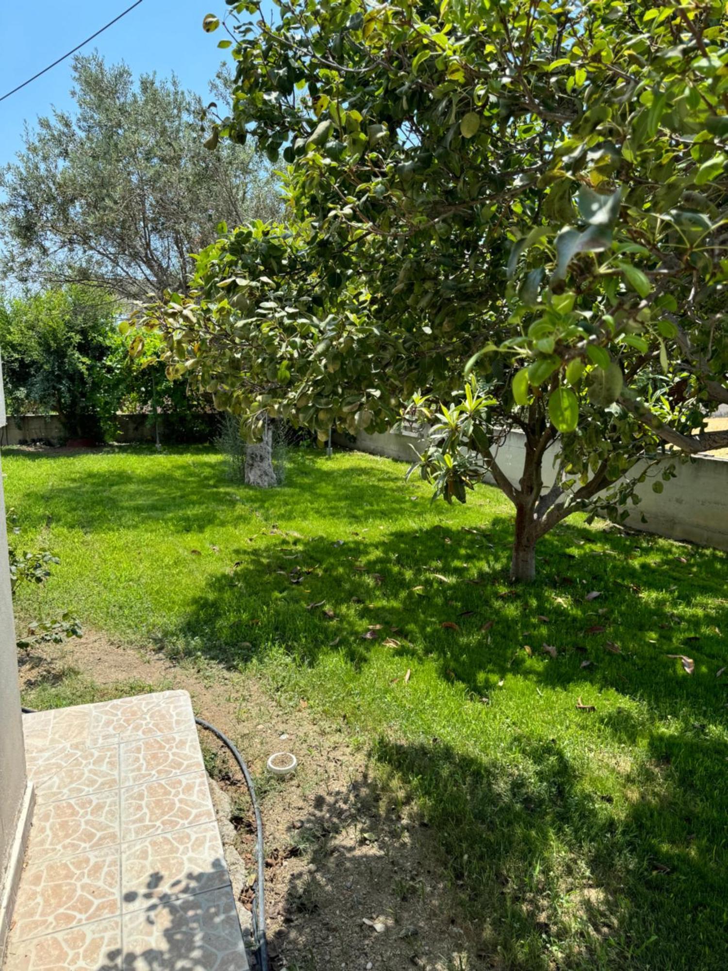 Fotis House Apartment Afantou Exterior photo