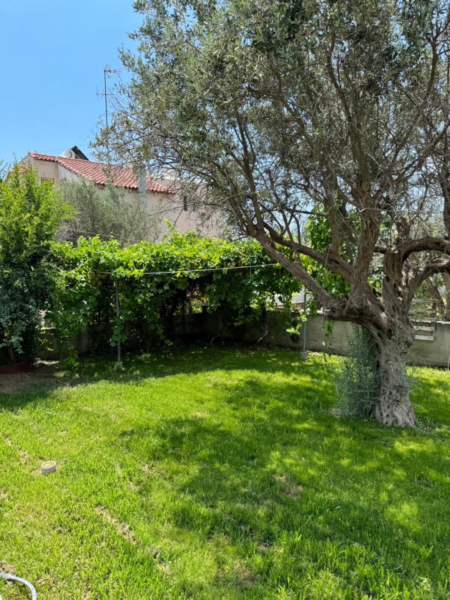 Fotis House Apartment Afantou Exterior photo